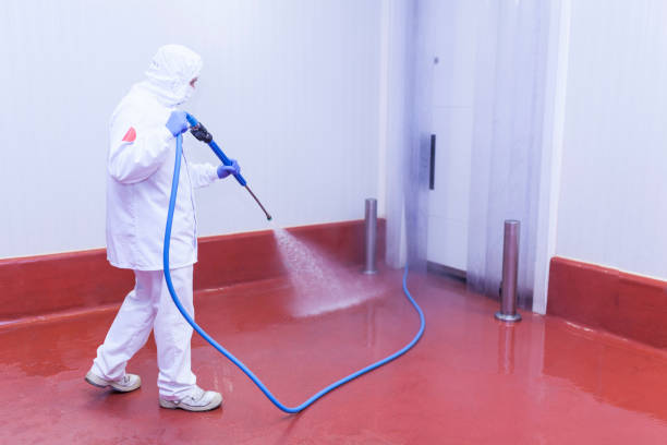 Best Warehouse Cleaning  in Lorenz Park, NY